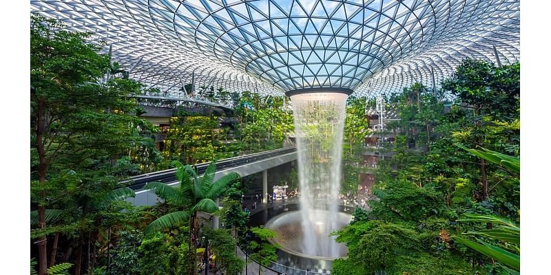 Meet the people who make Singapore Changi Airport one of the world's best, from gardeners who nurture 700,000 plants and 800 BUTTERFLIES to the team that creates 'wow' moments