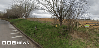 Bid for dog walking and training field near Peterborough approved