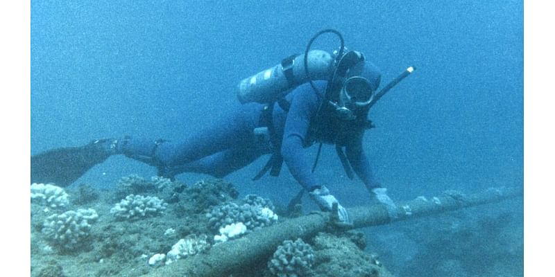 Officials are warning about the vulnerability of underwater cables. How protected are they?