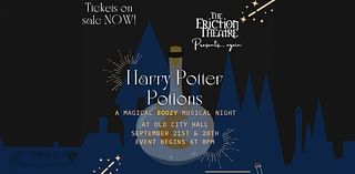 Harry Potter-themed night out coming to Bay City