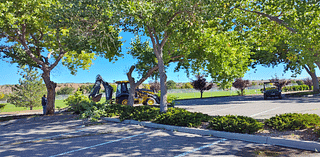 County Crews Collect Branches Following Fierce Rainstorm