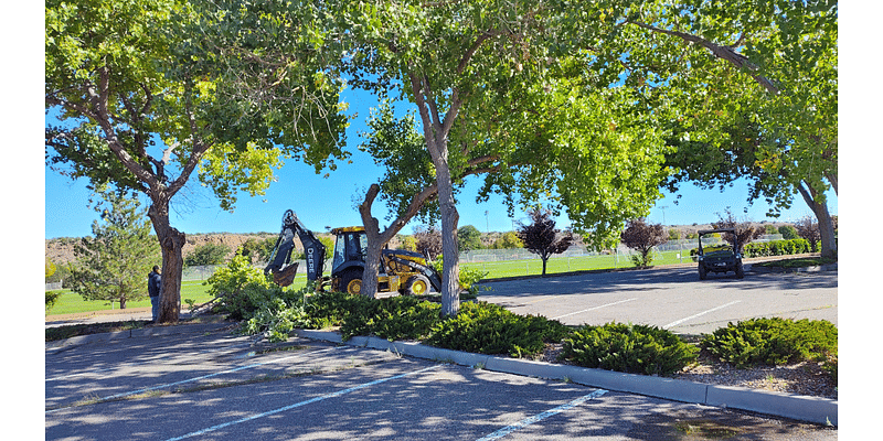 County Crews Collect Branches Following Fierce Rainstorm