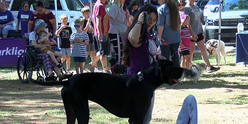 Bark in the Park brings out dozens of pets and owners