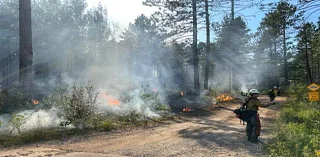 Fire at Chengwatana State Forest Now Fully Contained