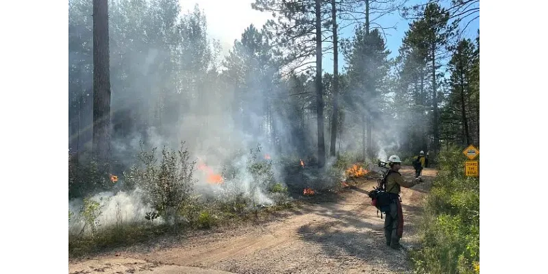 Fire at Chengwatana State Forest Now Fully Contained