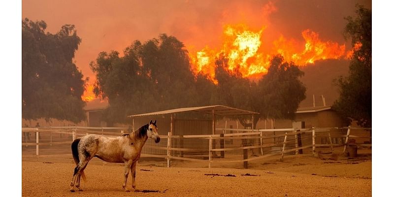 130+ structures destroyed in California wildfire as strong winds expected to subside