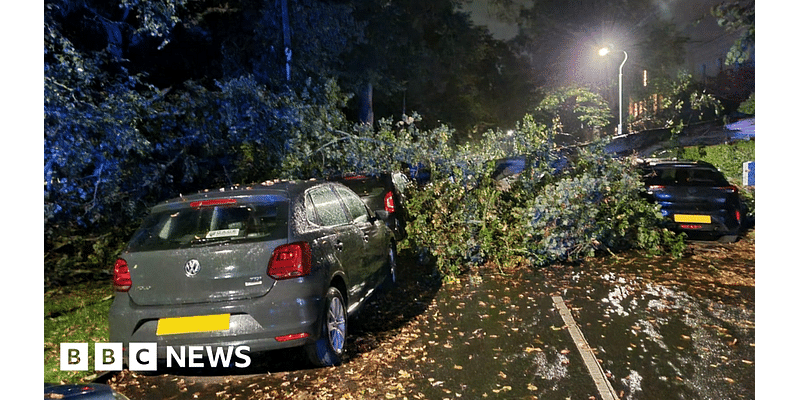 Gloucestershire: Cars damaged and road closed due to fallen trees