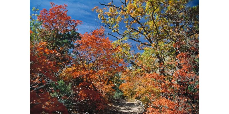 You won’t believe how beautiful these fall foliage spots are near Texas