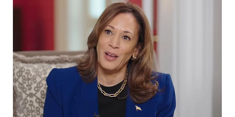 Kamala Harris is mercilessly mocked for doing interview with an NBA podcast... and gets a boost from the liberal media she is shunning