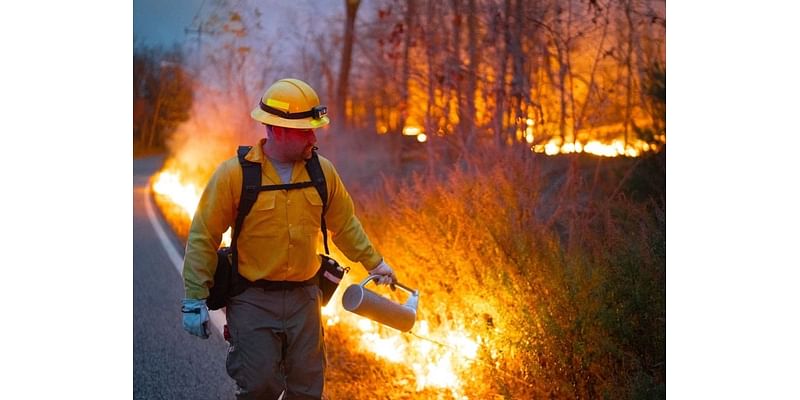 Rough Terrain Adds To Crews' Challenges Fighting Deadly NJ Wildfire