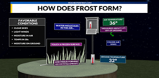 What is frost and how does it differ from a freeze?