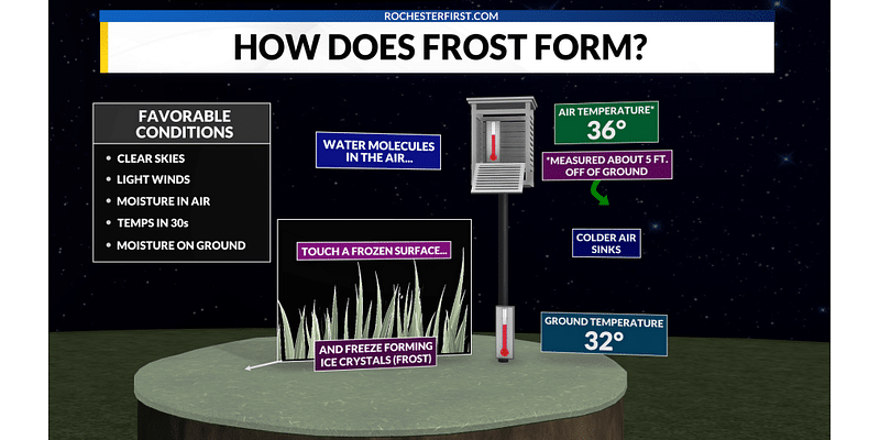 What is frost and how does it differ from a freeze?