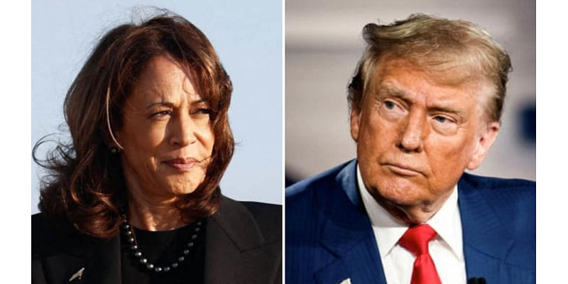 Kamala Harris speaks to ‘hopes and aspirations’ of Americans, Trump plays on fears: Capehart