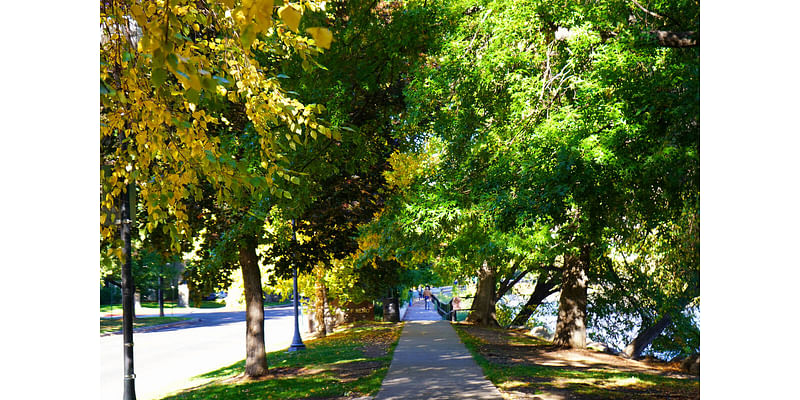 Biggest little walking adventure: Exploring Reno on foot