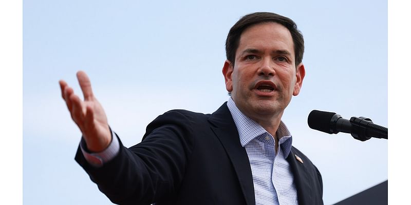 Rubio tells Democrats to fire their pollsters for getting it wrong on Hispanic voters: 'They don't know jack'