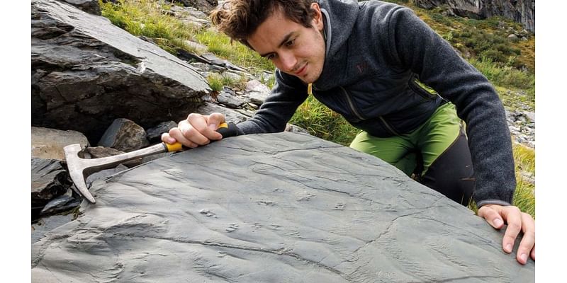 Hiker discovers 280-million-year-old fossils predating dinosaurs in Alps