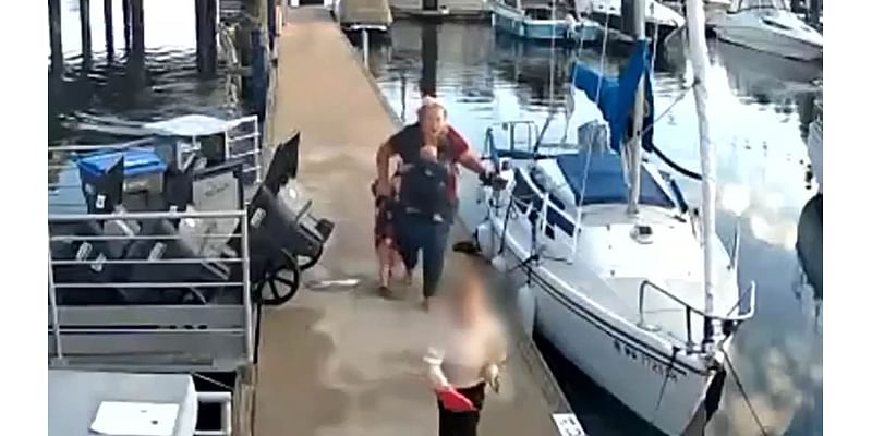 Chilling new video shows otter stalking family down dock where child was dragged under water in horrific attack