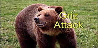 Hunter Shoots Grizzly Bear Outside Missoula