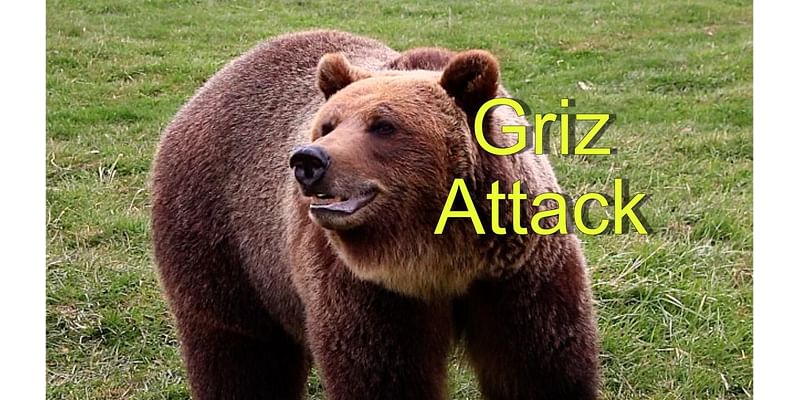 Hunter Shoots Grizzly Bear Outside Missoula