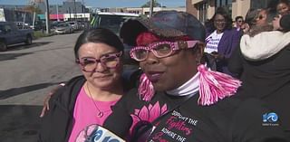 March in Norfolk brings awareness to breast cancer and domestic violence prevention