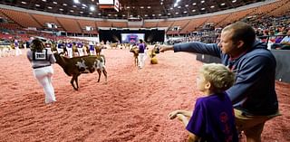 From robotic milkers to grilled cheese sandwiches: World Dairy Expo has it all