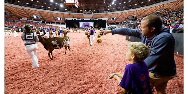 From robotic milkers to grilled cheese sandwiches: World Dairy Expo has it all