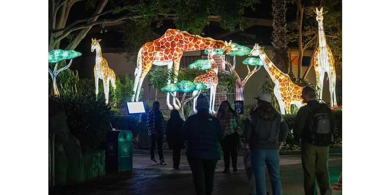 LA Zoo Lights will celebrate holidays with lantern sculptures and lights