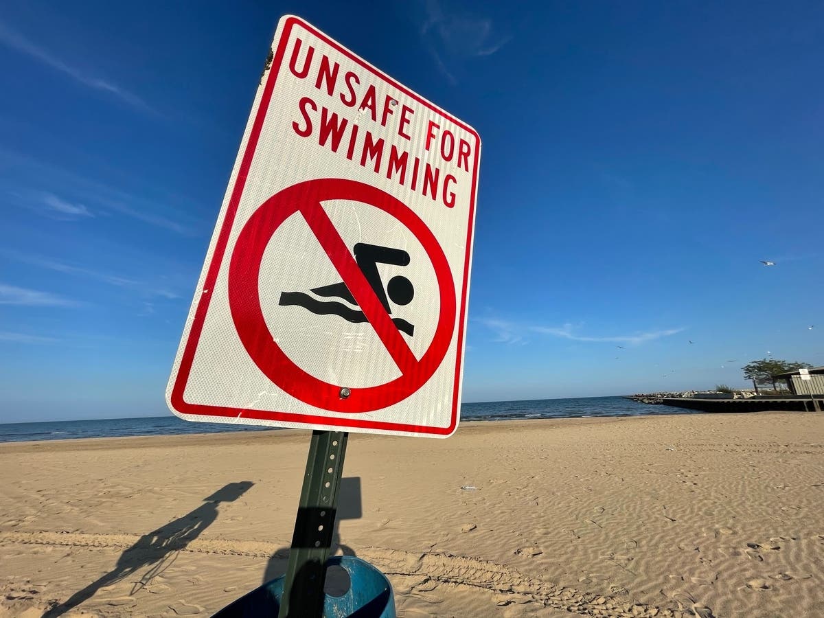 Red Tide Reported At Sarasota County Beaches: FL Dept. Of Health