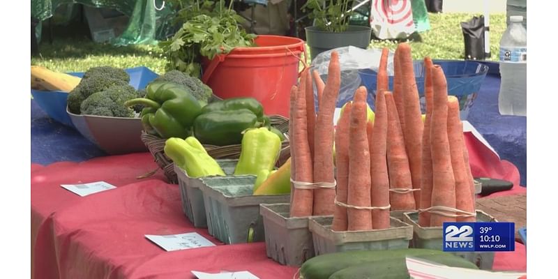 Massachusetts farmers bracing for revenue losses due to cuts in fresh produce SNAP benefits