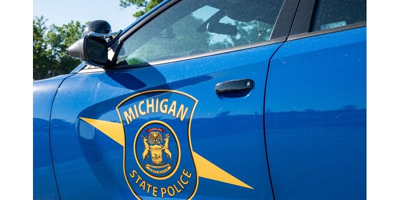 4 Killed, 17 Injured After Semitruck Crashes Into Vehicles Stuck in Traffic: Michigan Police