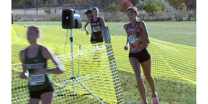 Area runners ready to tackle Detweiller for state cross country meet