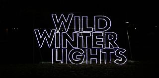 Wild Winter Lights again will illuminate Cleveland Metroparks Zoo beginning Nov. 12