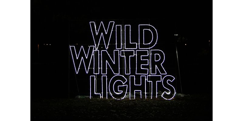 Wild Winter Lights again will illuminate Cleveland Metroparks Zoo beginning Nov. 12