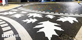 Finchampstead pedestrian crossing 'looks like a playground'