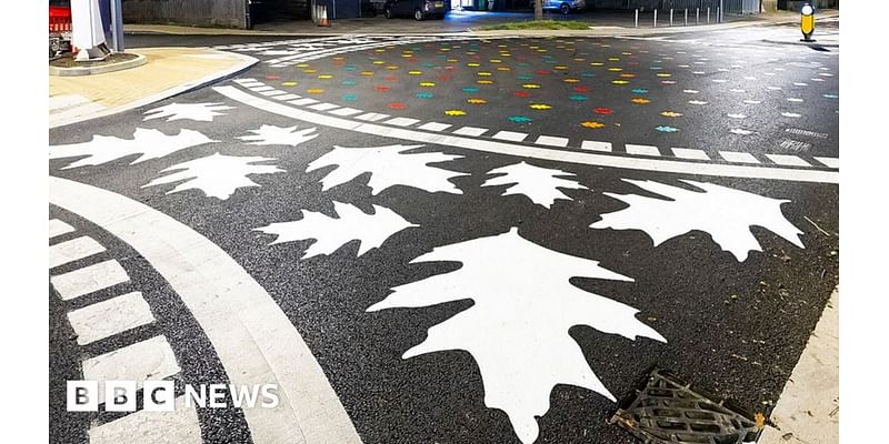 Finchampstead pedestrian crossing 'looks like a playground'