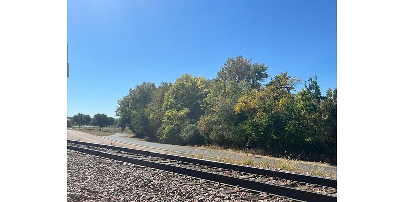 Tree experts: This is not a good year for fall colors