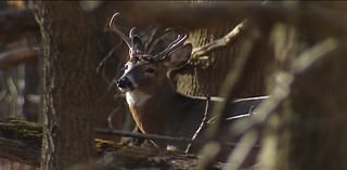 Dry and warm weather's impact on hunting season