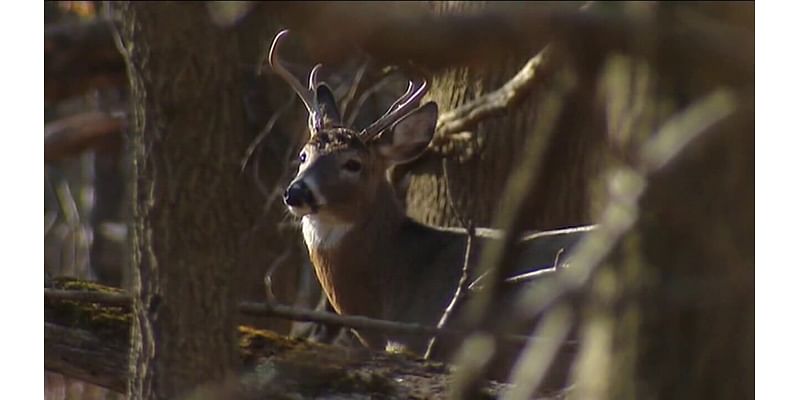 Dry and warm weather's impact on hunting season