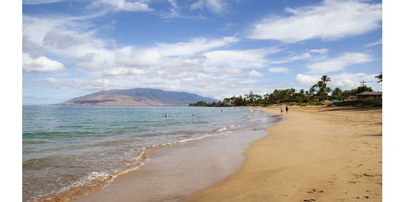 Couple dies while snorkeling during Hawaii babymoon, leaving behind 18-month-old son