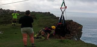 Firefighters need crane to rescue stricken cow - after the bungling bovine survives falling 100ft off a CLIFF