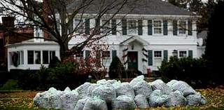 City of Kenosha to launch free yard waste collection Oct. 7