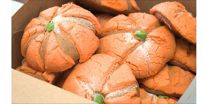 Pumpkin spice conchas become a viral hit