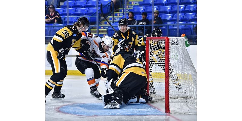 That's a Wrap. Phantoms Conclude Preseason