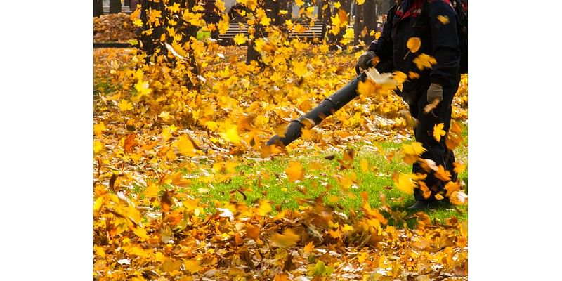 Ban On Gas-Powered Leaf Blowers Pressed In Newtown Township