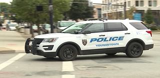 YPD: Thief takes SUV with dog inside while man was sleeping