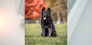 Hazleton police announce passing of K-9 Justice