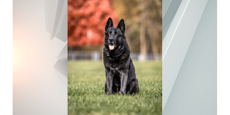 Hazleton police announce passing of K-9 Justice