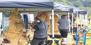 Chainsaw carvers and activities attract thousands to Wexford Woodland Show – ‘Raise the noise and let the wood fly!’