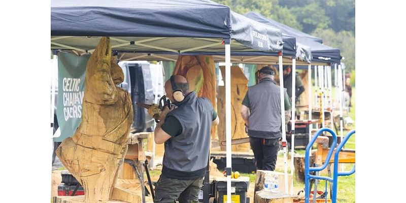 Chainsaw carvers and activities attract thousands to Wexford Woodland Show – ‘Raise the noise and let the wood fly!’