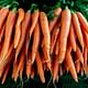 E. coli outbreak linked to organic carrots in Pennsylvania